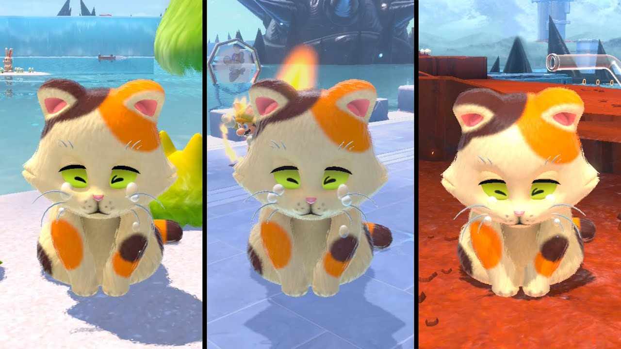 super mario 3d world gatto