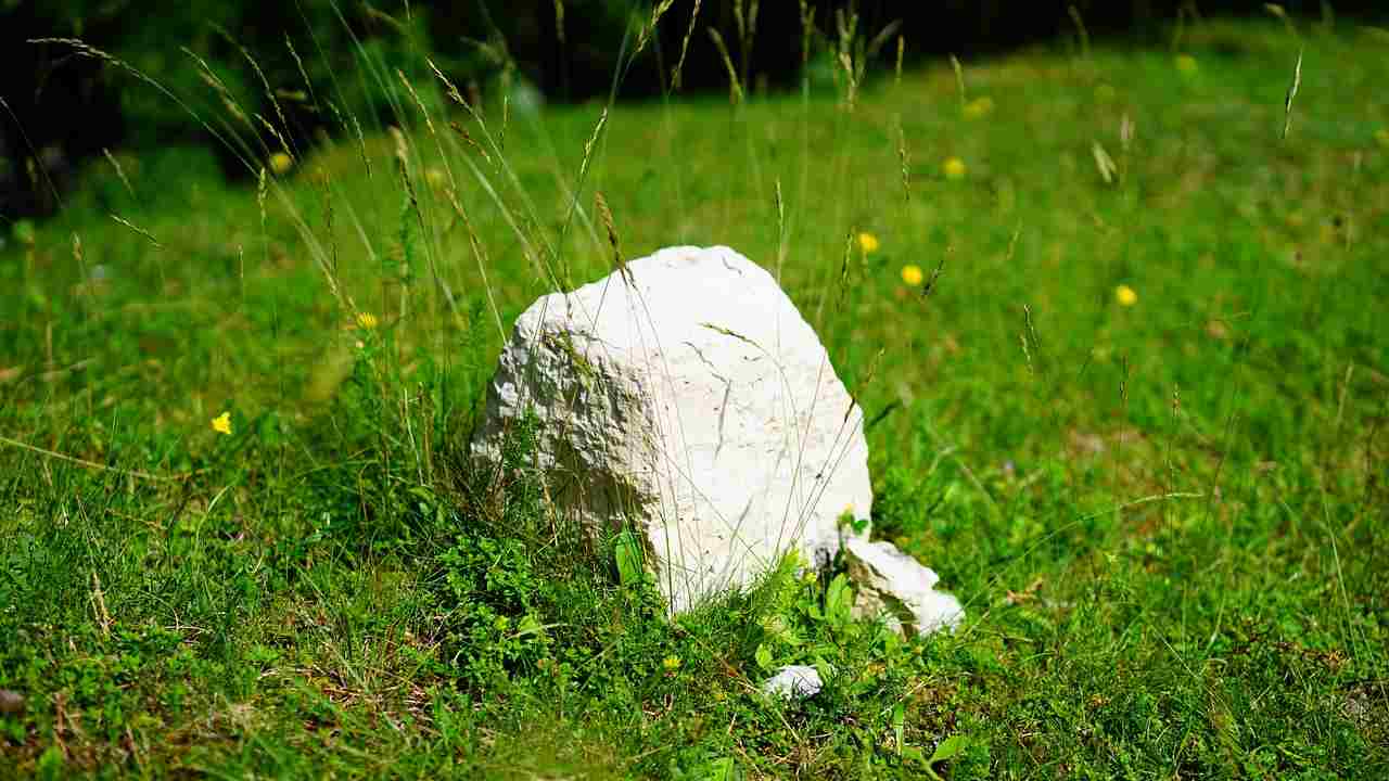 Contadino belga ridisegna il confine con la Francia spostando una pietra